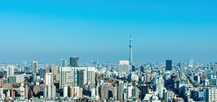 S：社会の背景画像